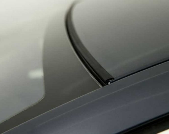 Zaščita za vetrobransko steklo